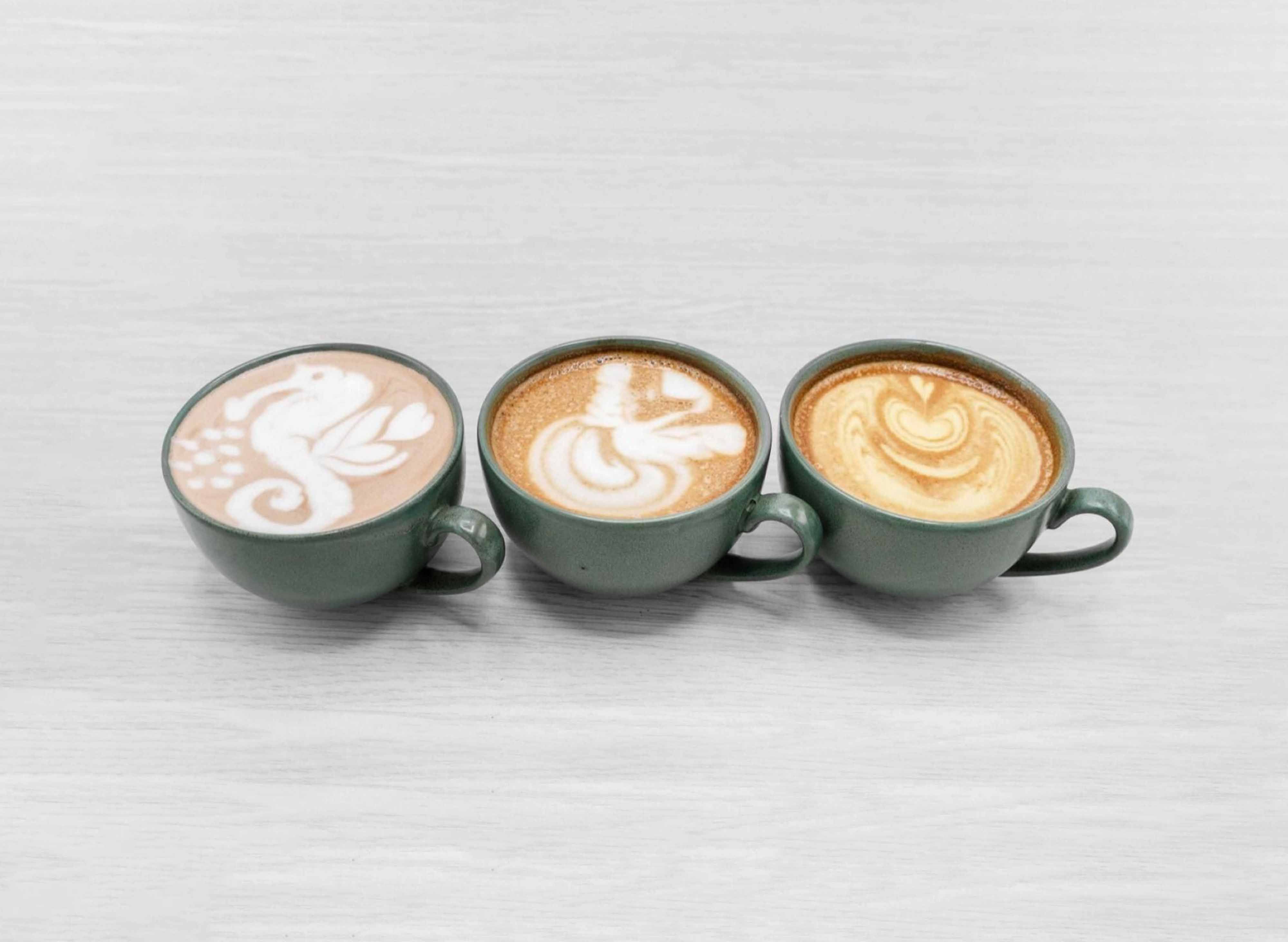 Artisan Coffee Roaster