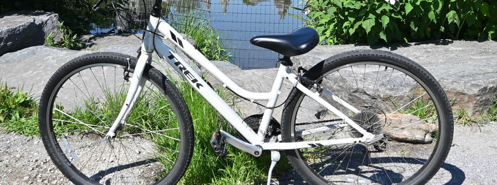 Bike Rental Central Park