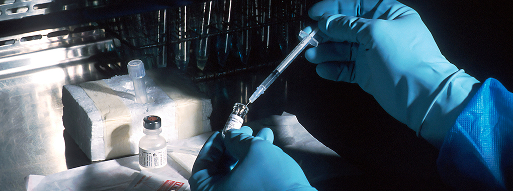 Ghauri Diagnostic Laboratories