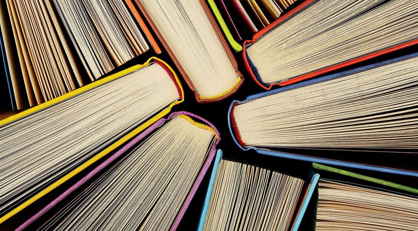 Roots Millennium School