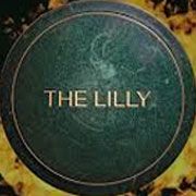 The Lilly - Marriott Islamabad